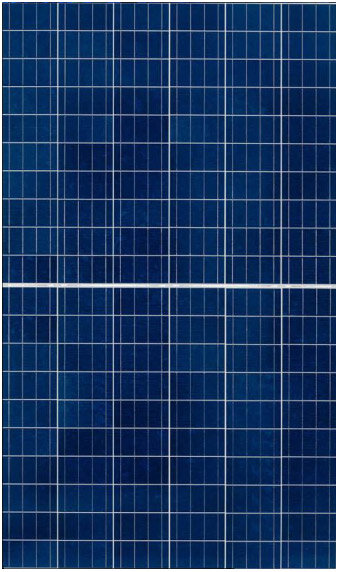 Buy Solar Module Canadian Solar CS3K-295P KuPower | pvXchange.com