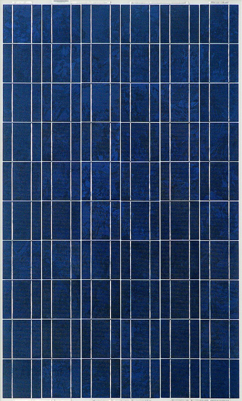 Solarmodul Amerisolar AS-6P30-255 kaufen | pvXchange.com