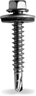402566_3